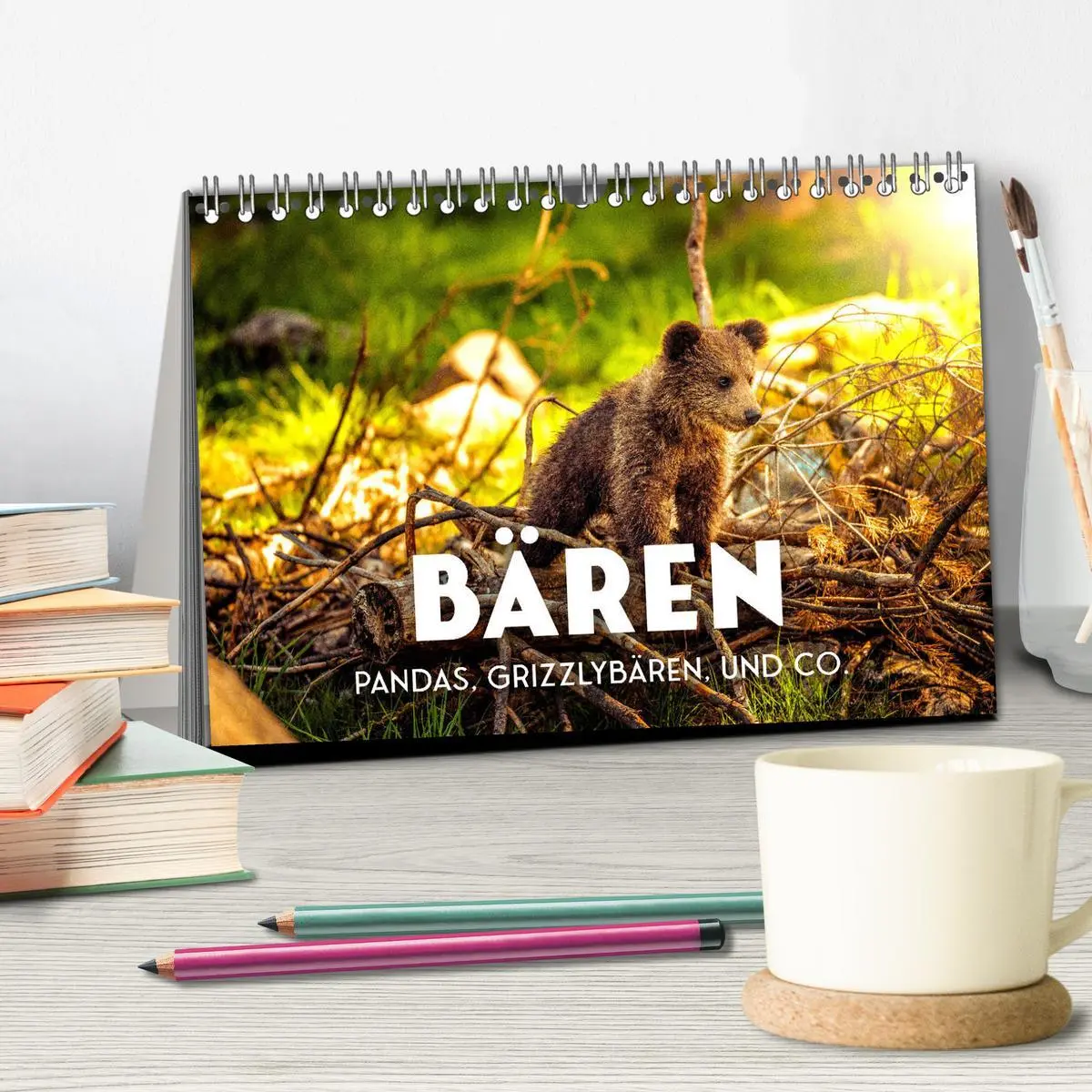 Bild: 9783457563618 | Bären - Pandas, Grizzlybären und Co. (Tischkalender 2026 DIN A5...