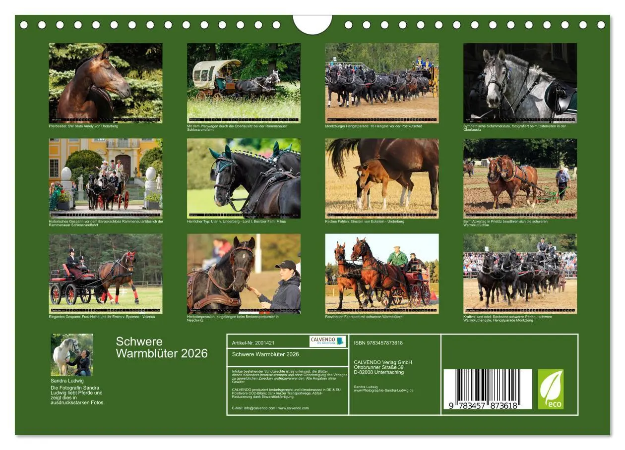 Bild: 9783457873618 | Schwere Warmblüter 2026 (Wandkalender 2026 DIN A4 quer), CALVENDO...