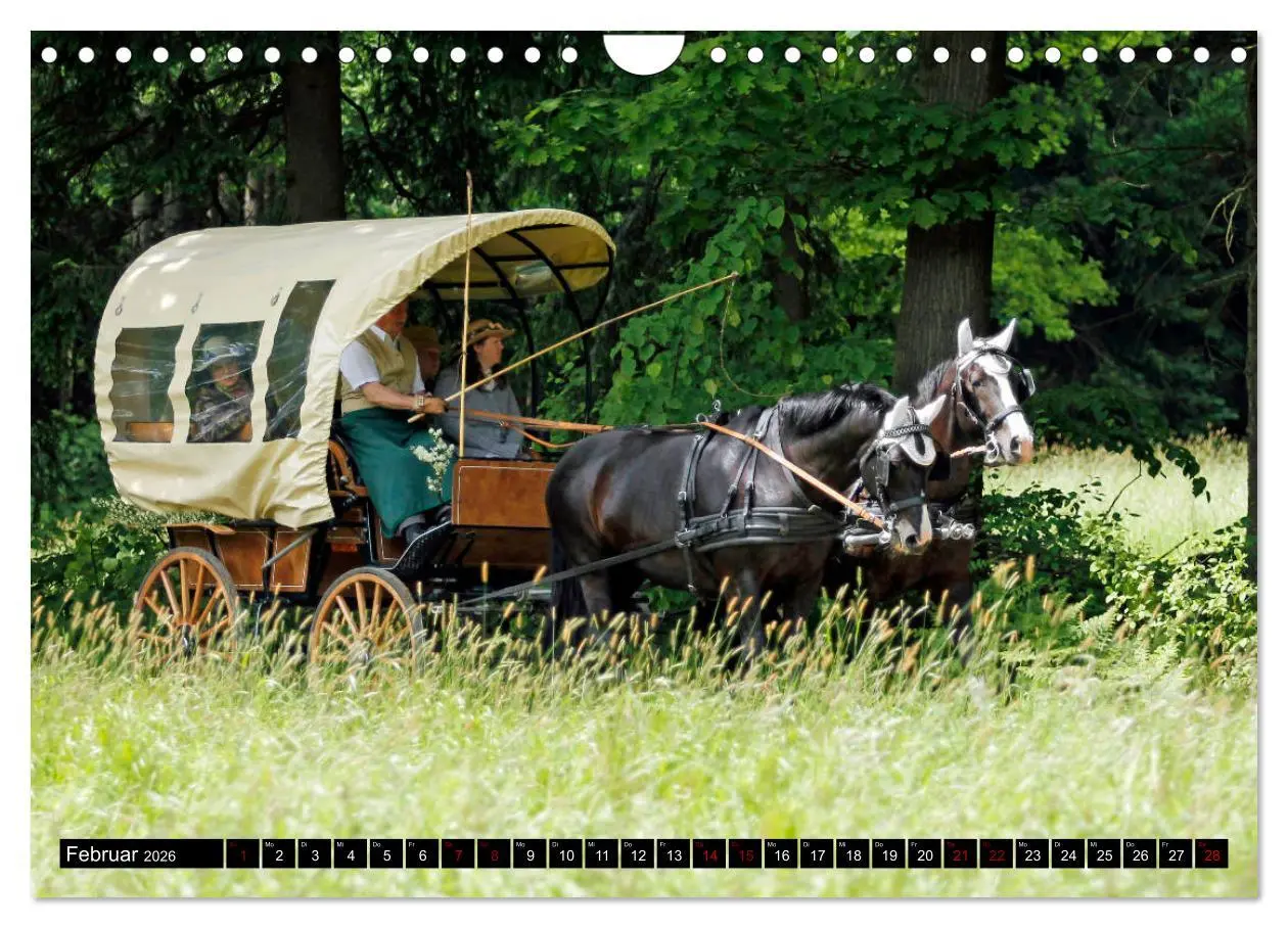 Bild: 9783457873618 | Schwere Warmblüter 2026 (Wandkalender 2026 DIN A4 quer), CALVENDO...