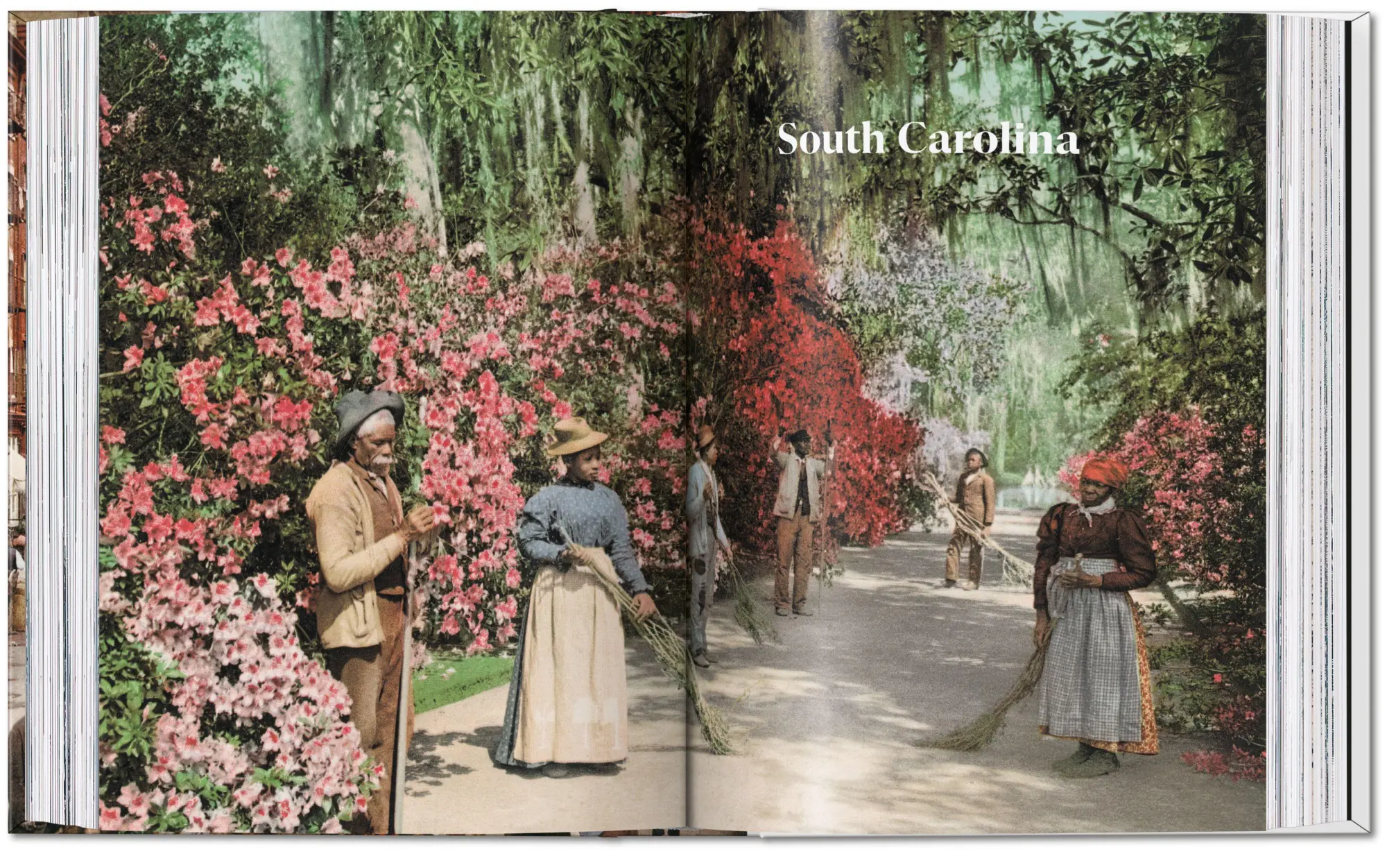 Bild: 9783836593618 | America 1900. A Portrait in Color | Marc Walter (u. a.) | Buch | 2026
