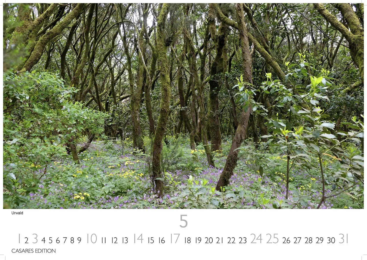 Bild: 9781835243718 | La Gomera 2026 S 24x35 cm | Kalender | 14 S. | Deutsch | 2026