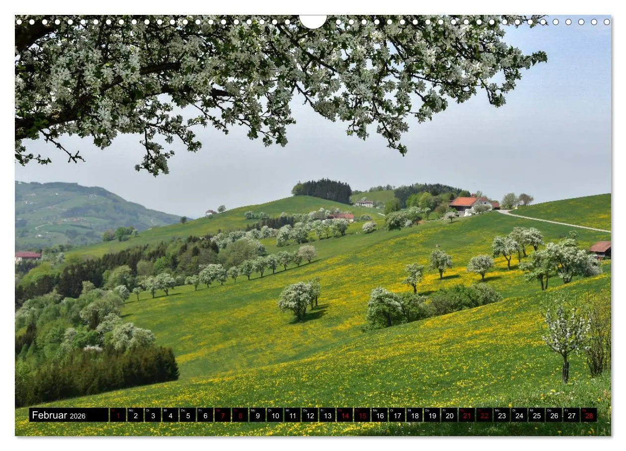 Bild: 9783457933718 | Frühling im Mostviertel (Wandkalender 2026 DIN A3 quer), CALVENDO...