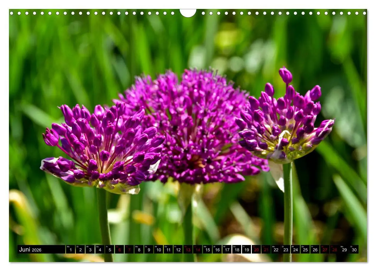 Bild: 9783457933718 | Frühling im Mostviertel (Wandkalender 2026 DIN A3 quer), CALVENDO...