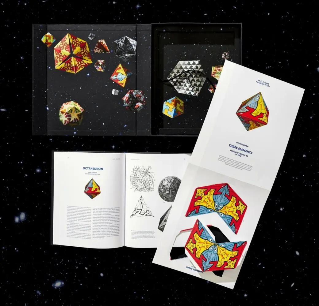 Bild: 9783836583718 | M.C. Escher. Calidociclos | Doris Schattschneider (u. a.) | Buch