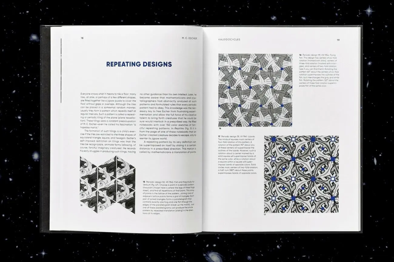 Bild: 9783836583718 | M.C. Escher. Calidociclos | Doris Schattschneider (u. a.) | Buch