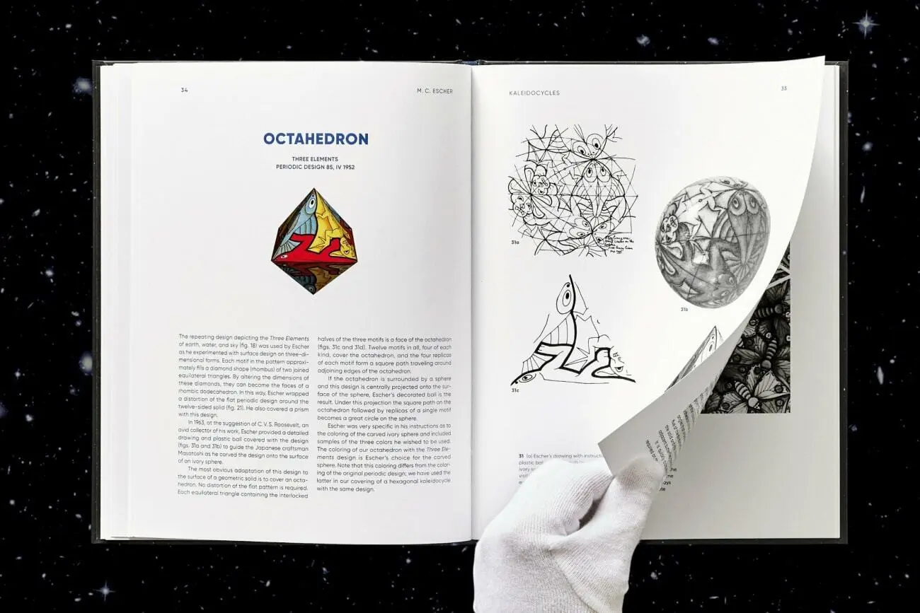 Bild: 9783836583718 | M.C. Escher. Calidociclos | Doris Schattschneider (u. a.) | Buch