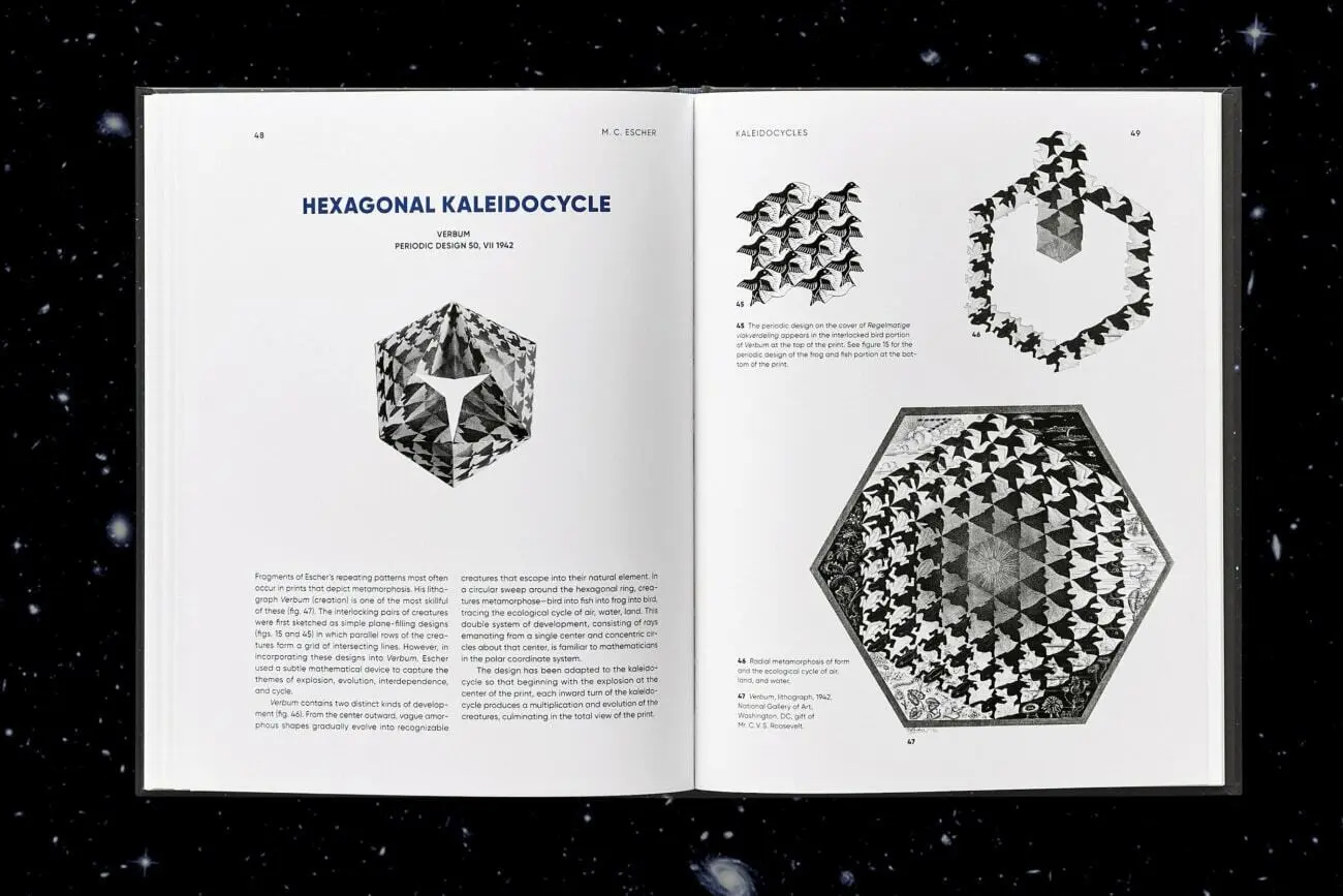 Bild: 9783836583718 | M.C. Escher. Calidociclos | Doris Schattschneider (u. a.) | Buch
