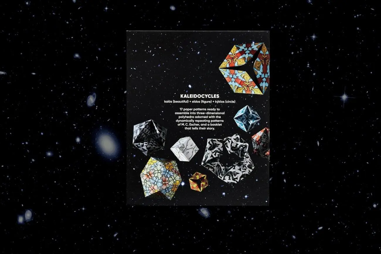 Bild: 9783836583718 | M.C. Escher. Calidociclos | Doris Schattschneider (u. a.) | Buch
