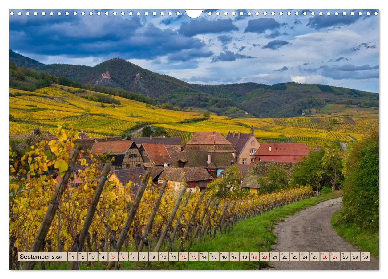 Bild: 9783457853818 | Vogesen - wunderschön (Wandkalender 2026 DIN A3 quer), CALVENDO...
