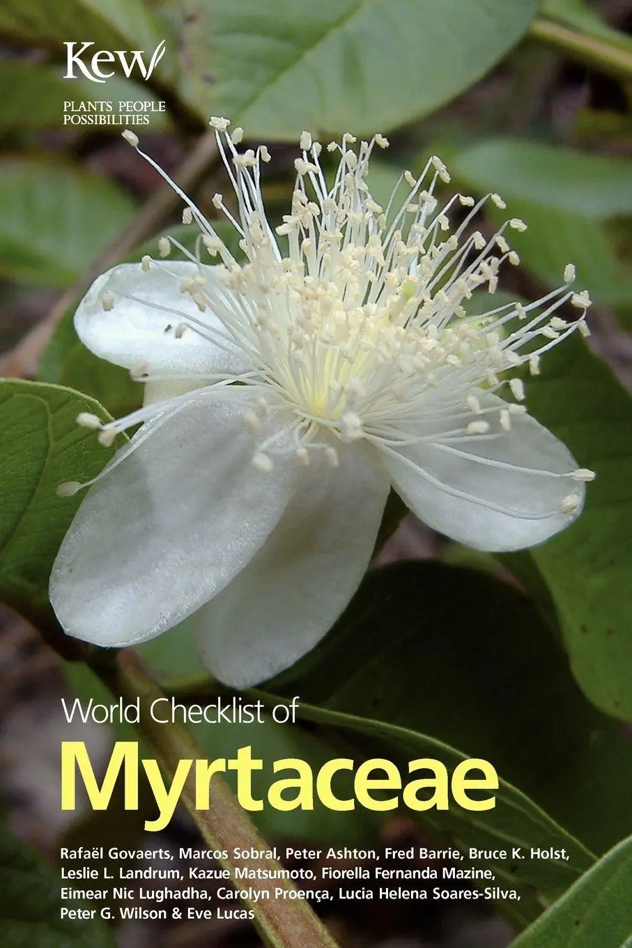 Cover: 9781842463918 | World Checklist of Myrtaceae | Rafael Govaerts (u. a.) | Taschenbuch