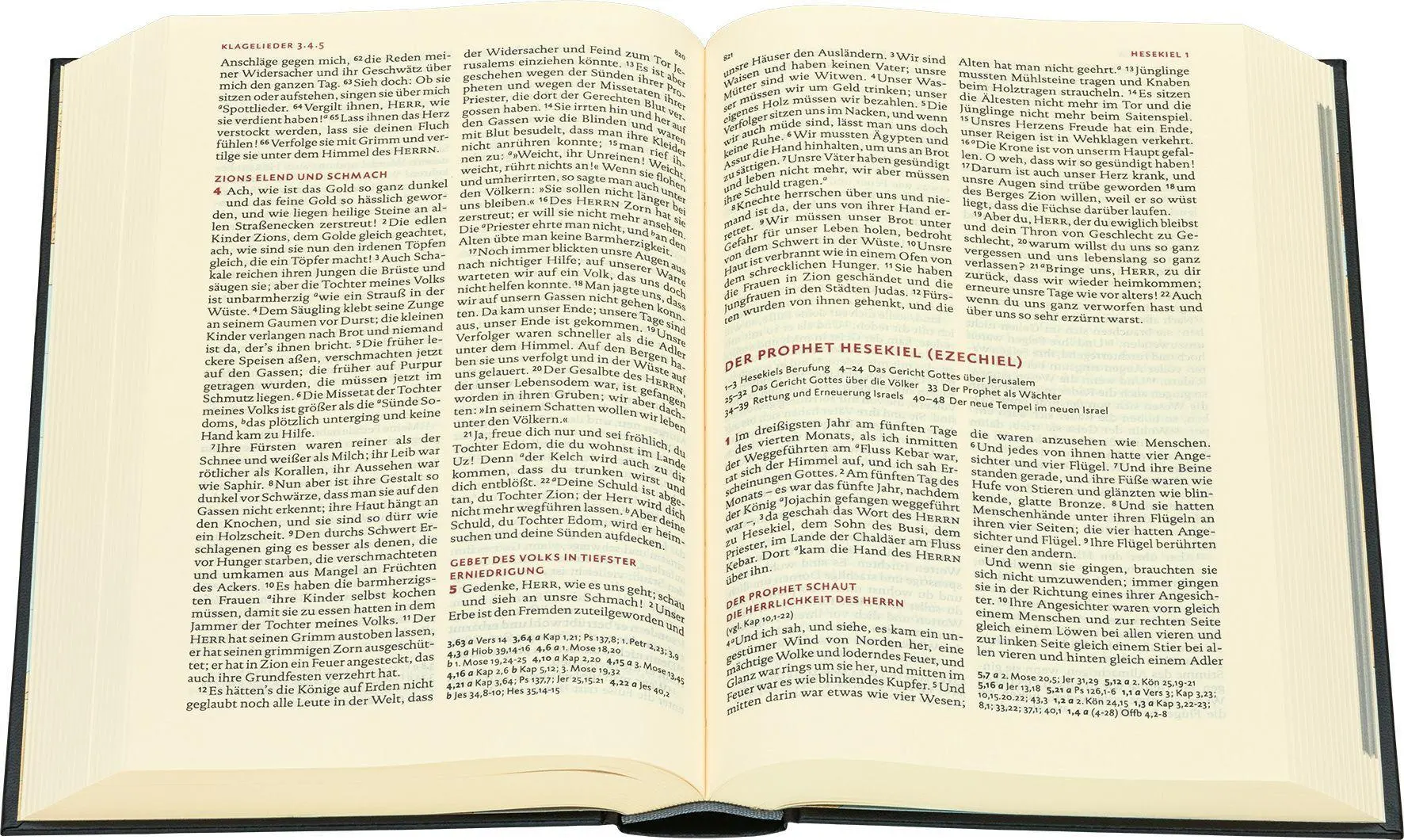 Bild: 9783438033918 | Lutherbibel revidiert 2017 - Großausgabe | Martin Luther | Buch | 2017
