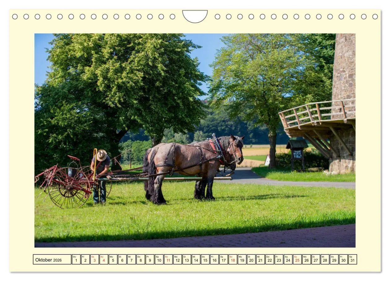 Bild: 9783457664018 | Arbeitspferde - Alltag des belgischen Kaltbluts (Wandkalender 2026...
