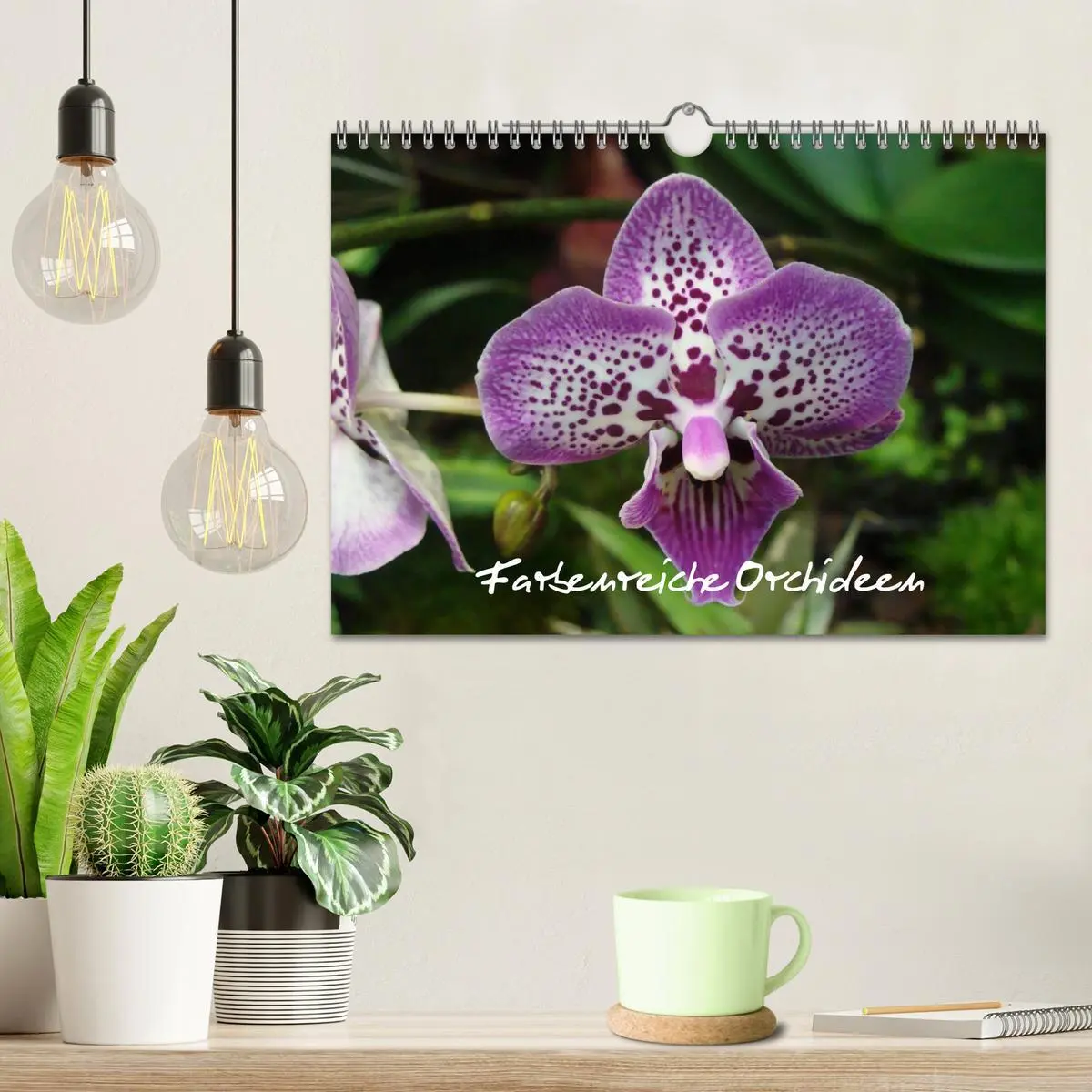 Bild: 9783516204018 | Farbenreiche Orchideen (Wandkalender 2026 DIN A4 quer), CALVENDO...
