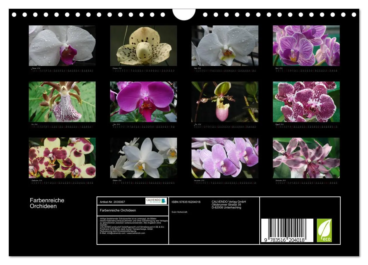 Bild: 9783516204018 | Farbenreiche Orchideen (Wandkalender 2026 DIN A4 quer), CALVENDO...