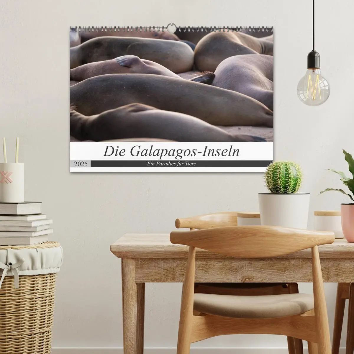 Bild: 9783435324118 | Galapagos-Inseln - Ein Paradies für Tiere (Wandkalender 2025 DIN A3...