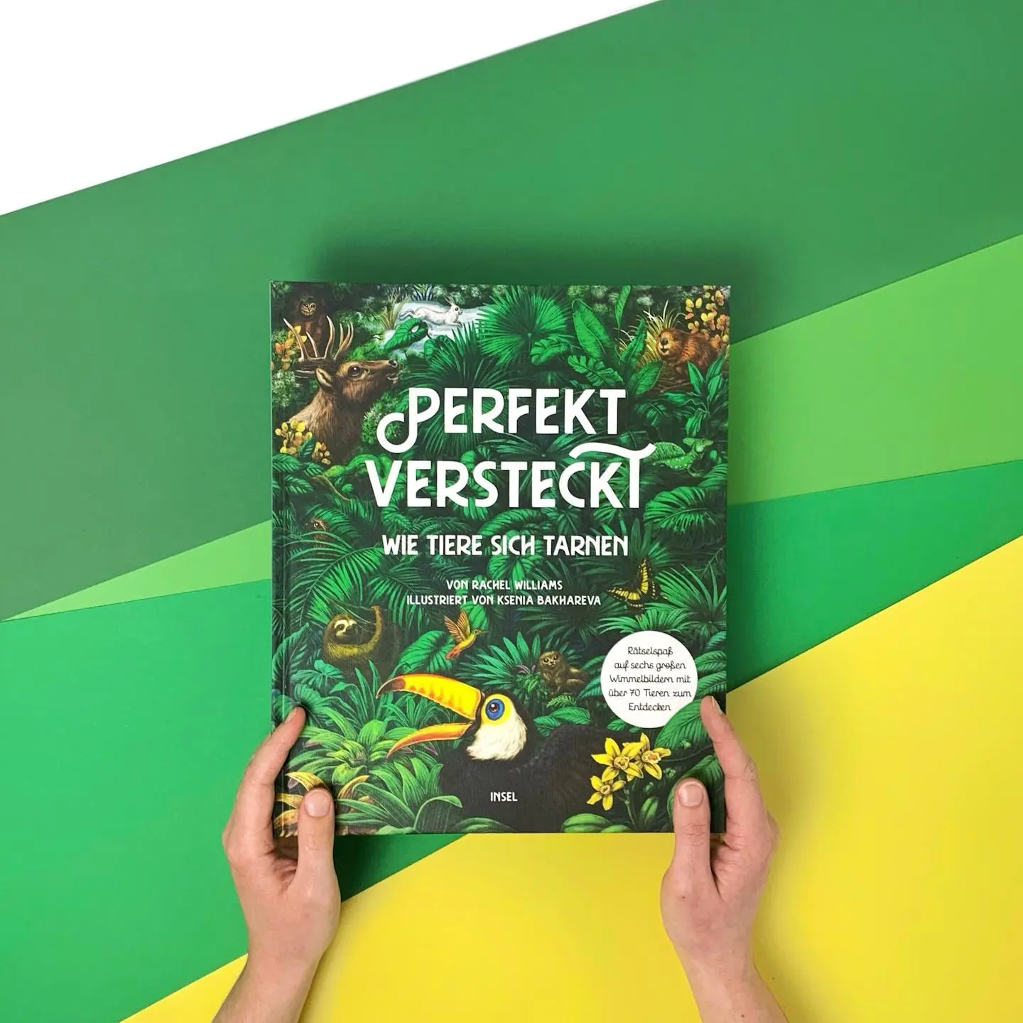 Bild: 9783458644118 | Perfekt versteckt | Rachel Williams | Buch | 48 S. | Deutsch | 2024