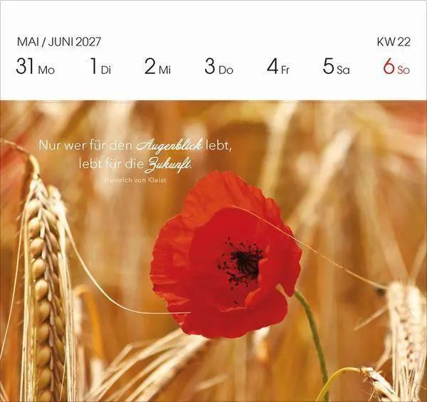 Bild: 9783819304118 | Genieße jeden Augenblick 2027 | Korsch Verlag | Kalender | 54 S.