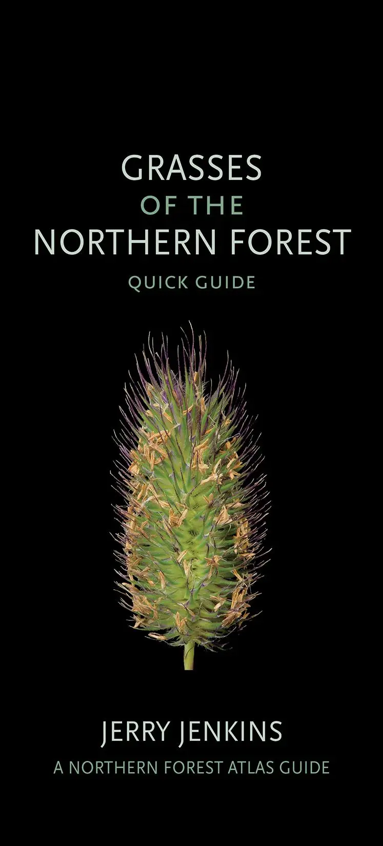 Cover: 9781501764318 | Grasses of the Northern Forest | Quick Guide | Jerry Jenkins | Buch