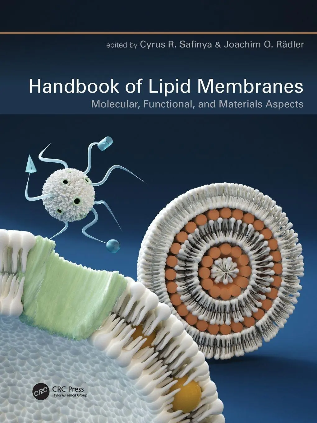 Cover: 9781032014418 | Handbook of Lipid Membranes | Cyrus R. Safinya (u. a.) | Taschenbuch