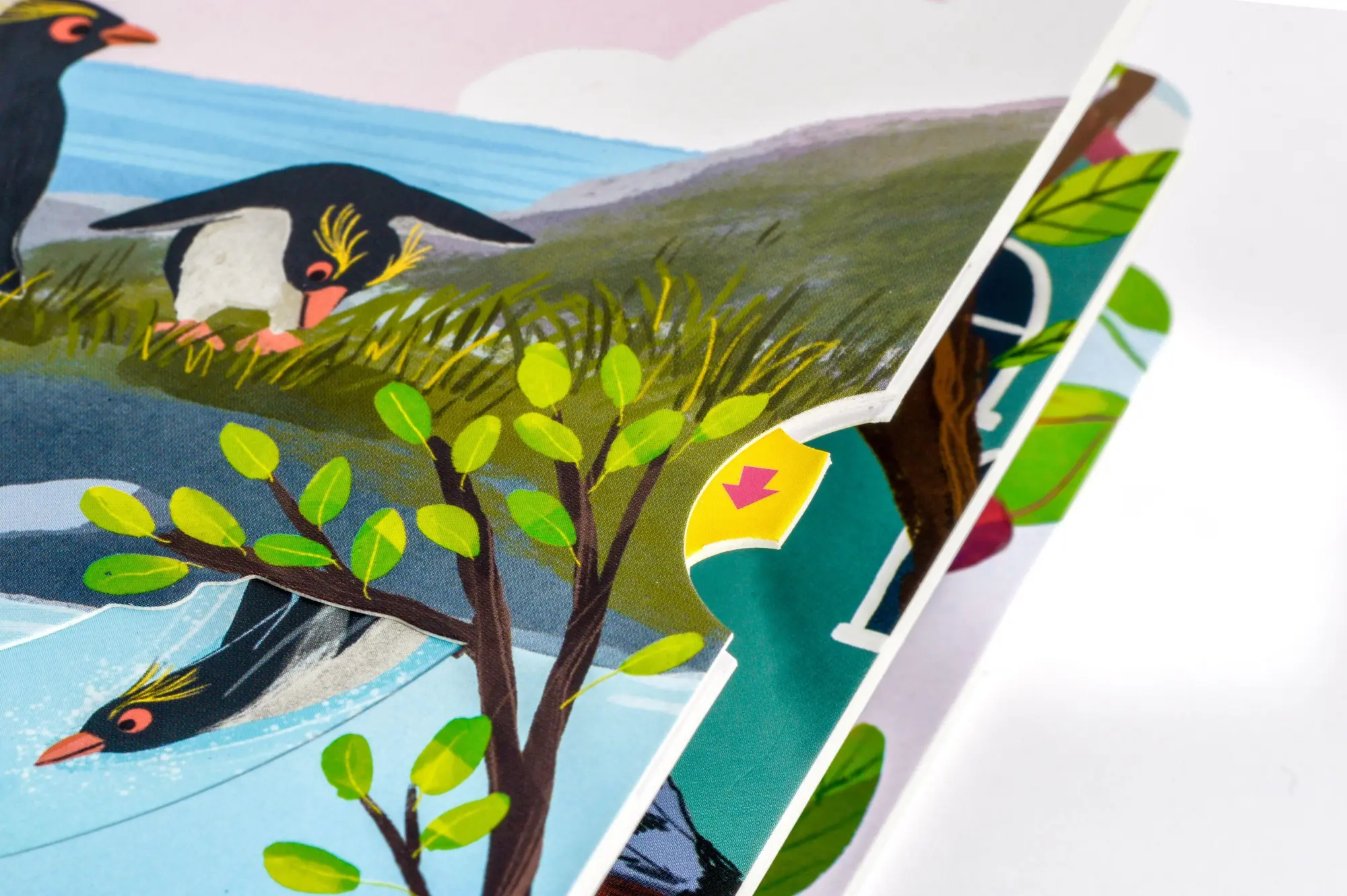 Bild: 9783328304418 | Komm mit nach draußen! Vögel | Kathrin Lena Orso | Buch | 10 S. | 2026