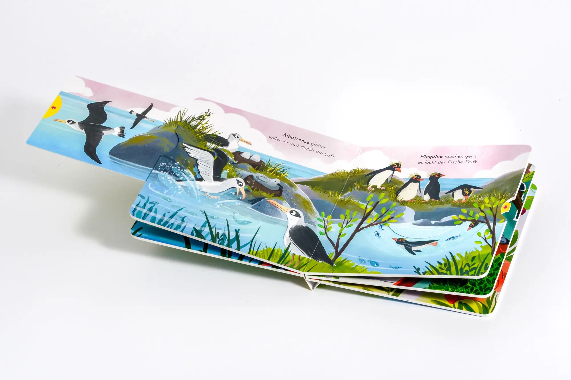 Bild: 9783328304418 | Komm mit nach draußen! Vögel | Kathrin Lena Orso | Buch | 10 S. | 2026