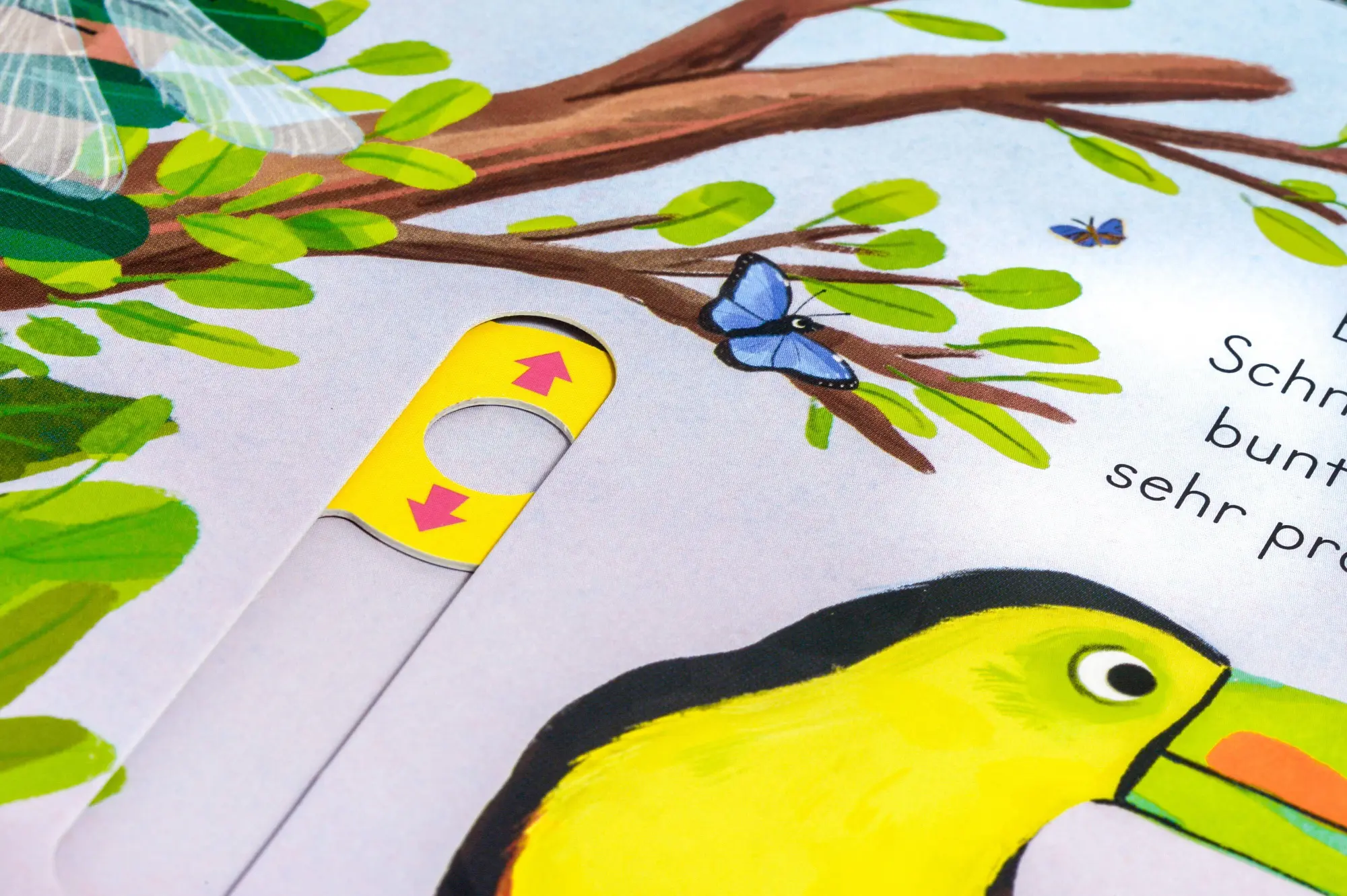 Bild: 9783328304418 | Komm mit nach draußen! Vögel | Kathrin Lena Orso | Buch | 10 S. | 2026