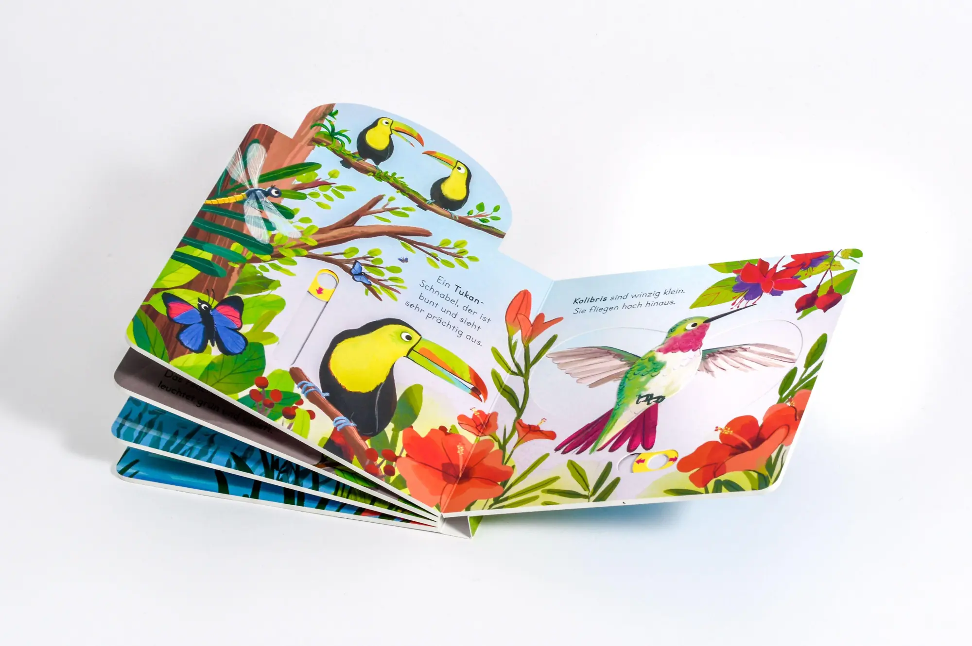Bild: 9783328304418 | Komm mit nach draußen! Vögel | Kathrin Lena Orso | Buch | 10 S. | 2026