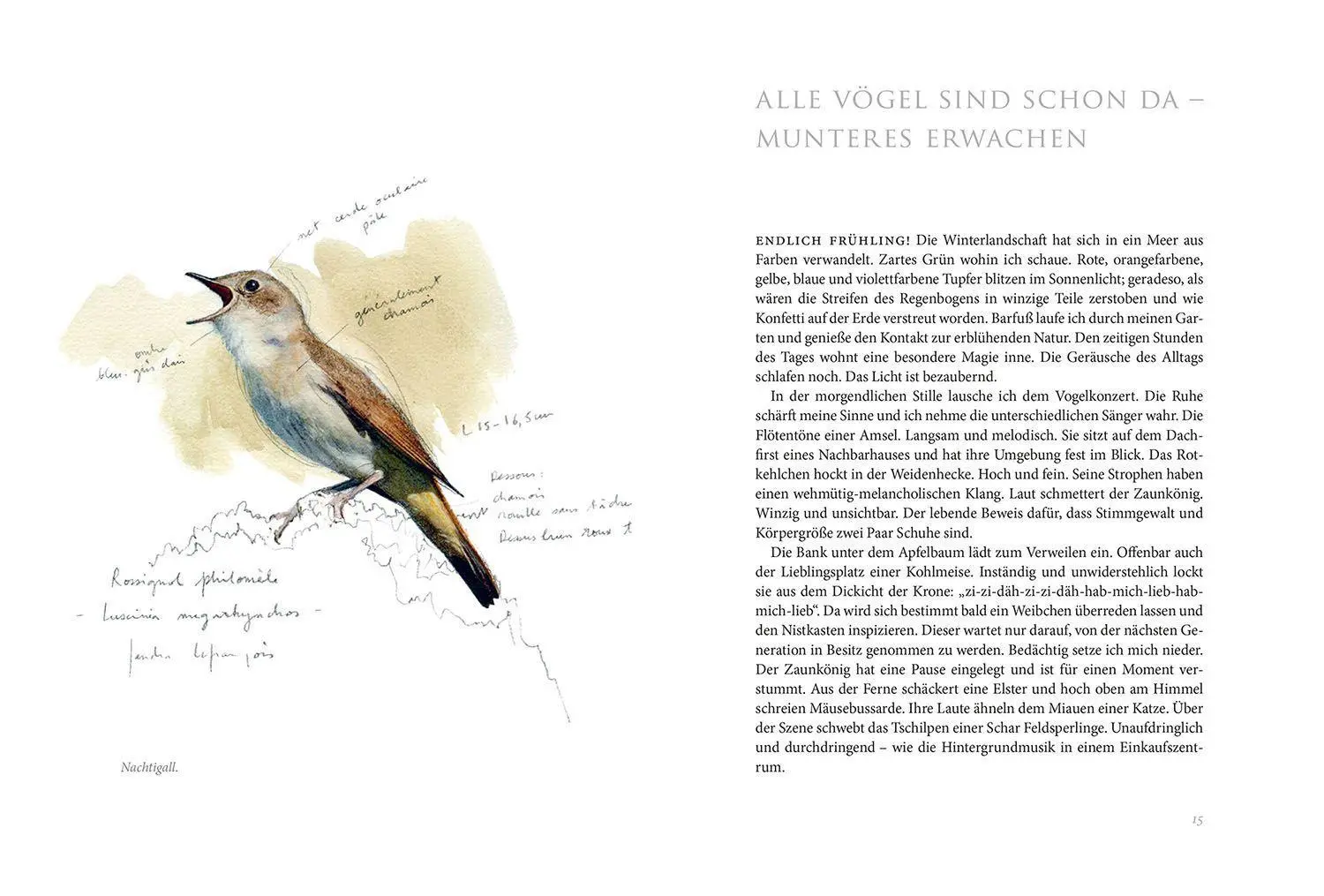 Bild: 9783440174418 | Gartenvögel | Daniela Strauß | Buch | 256 S. | Deutsch | 2022
