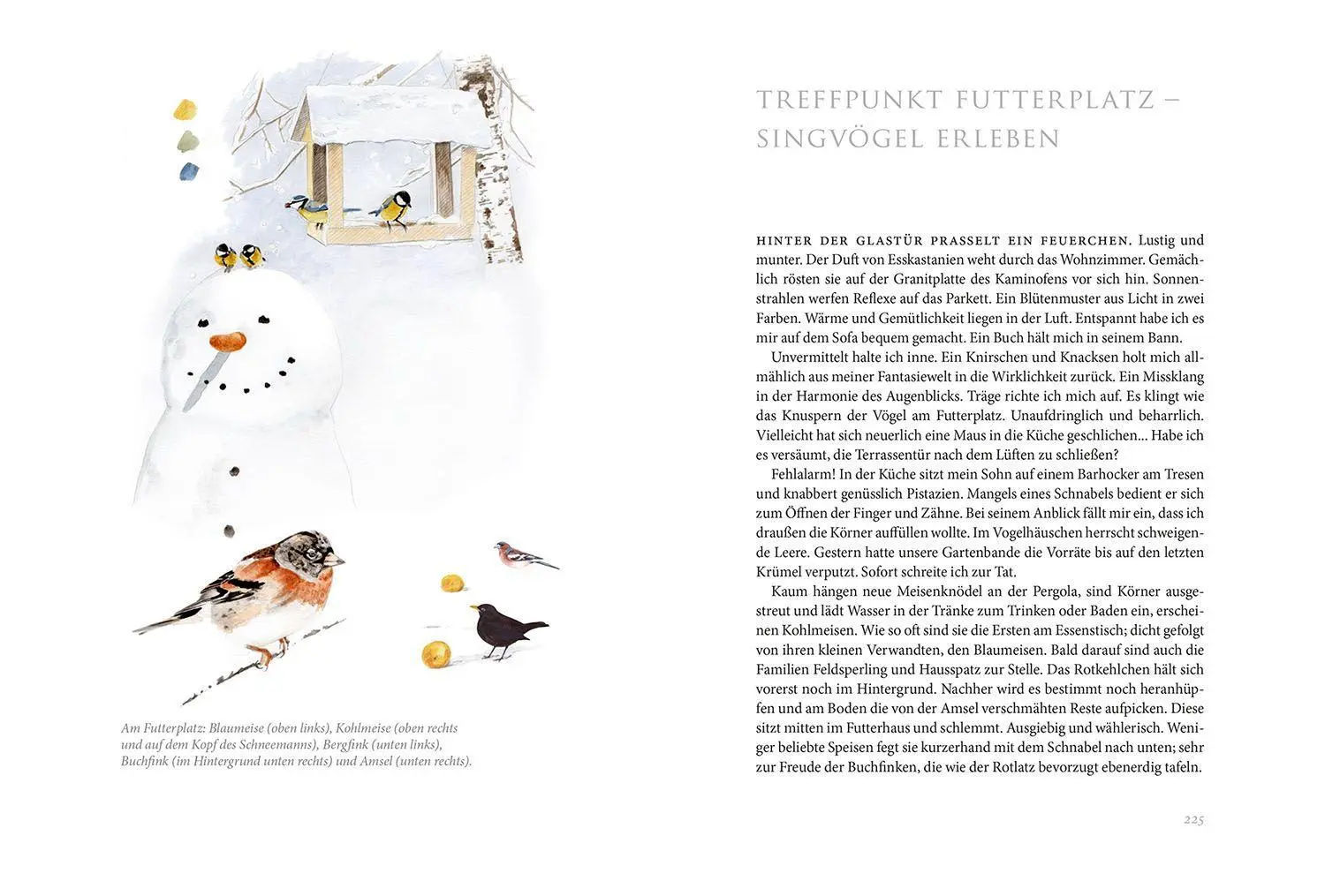 Bild: 9783440174418 | Gartenvögel | Daniela Strauß | Buch | 256 S. | Deutsch | 2022