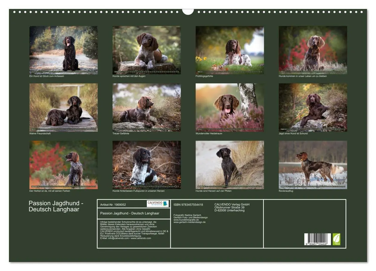 Bild: 9783457554418 | Passion Jagdhund - Deutsch Langhaar (Wandkalender 2026 DIN A2...