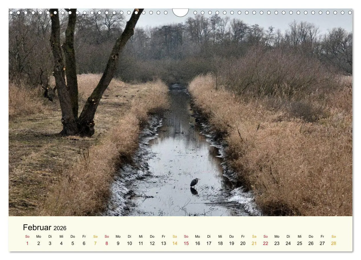 Bild: 9783457794418 | Bremen-Blockland (Wandkalender 2026 DIN A3 quer), CALVENDO...