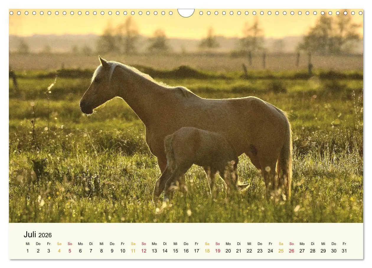 Bild: 9783457794418 | Bremen-Blockland (Wandkalender 2026 DIN A3 quer), CALVENDO...