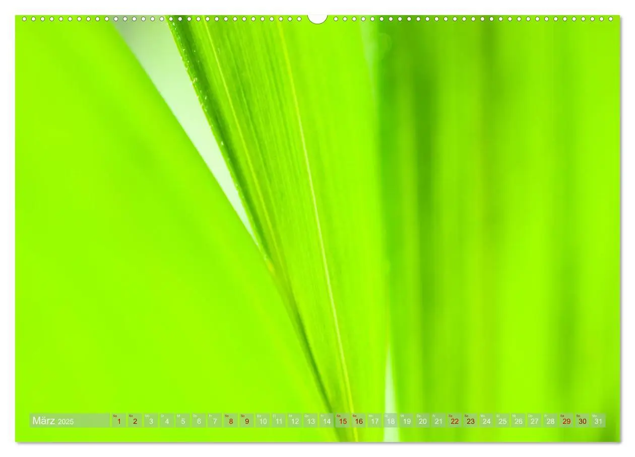 Bild: 9783435214518 | GRÜN Harmonie Wachstum Zufriedenheit (Wandkalender 2025 DIN A2...