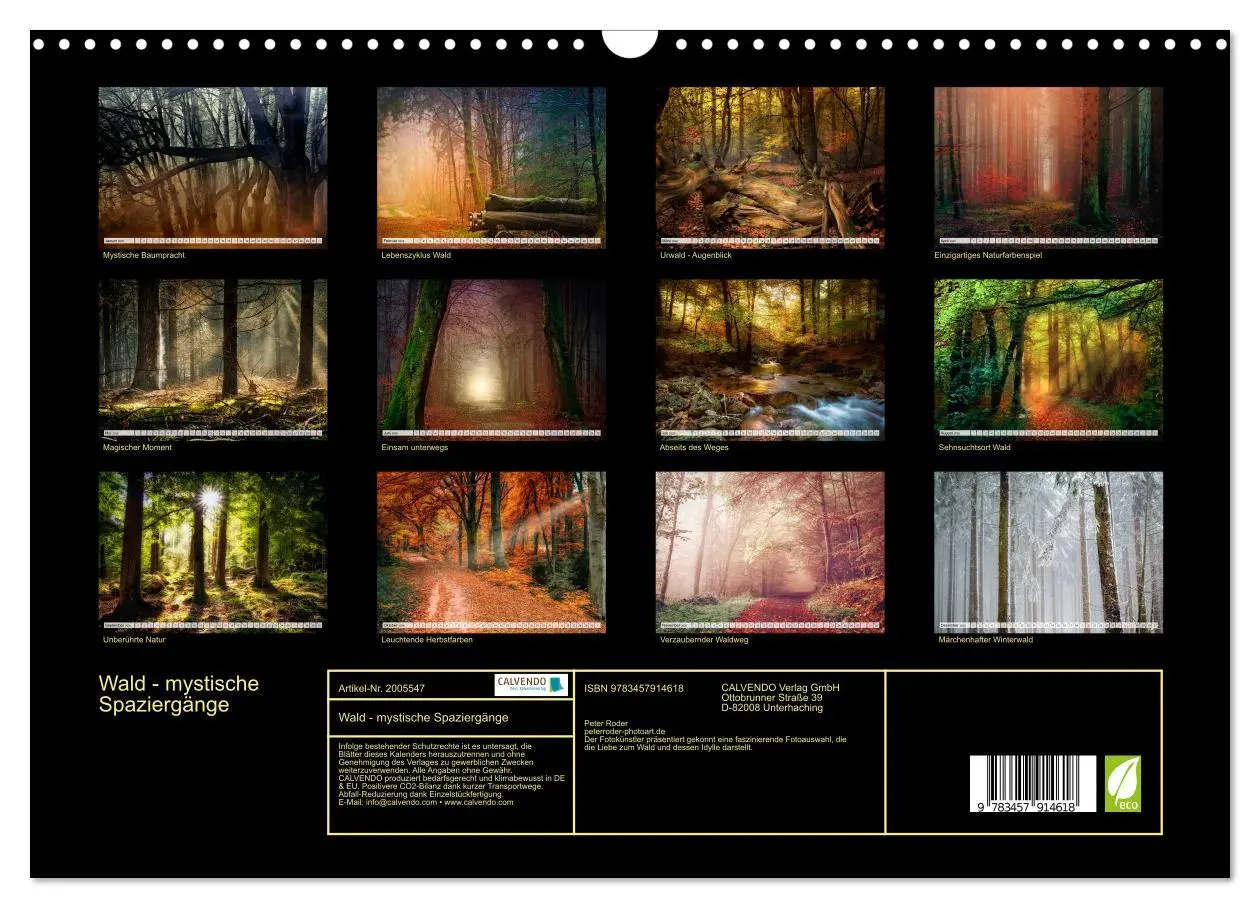 Bild: 9783457914618 | Wald - mystische Spaziergänge (Wandkalender 2026 DIN A3 quer),...