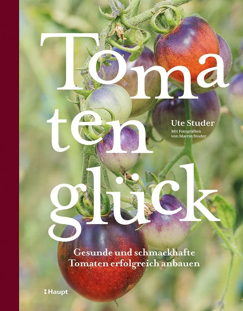 Cover: 9783258084718 | Tomatenglück | Gesunde und schmackhafte Tomaten erfolgreich anbauen