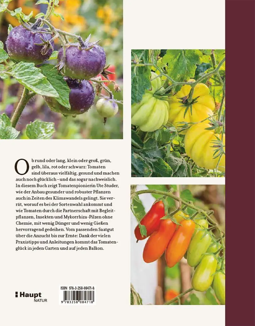 Bild: 9783258084718 | Tomatenglück | Gesunde und schmackhafte Tomaten erfolgreich anbauen