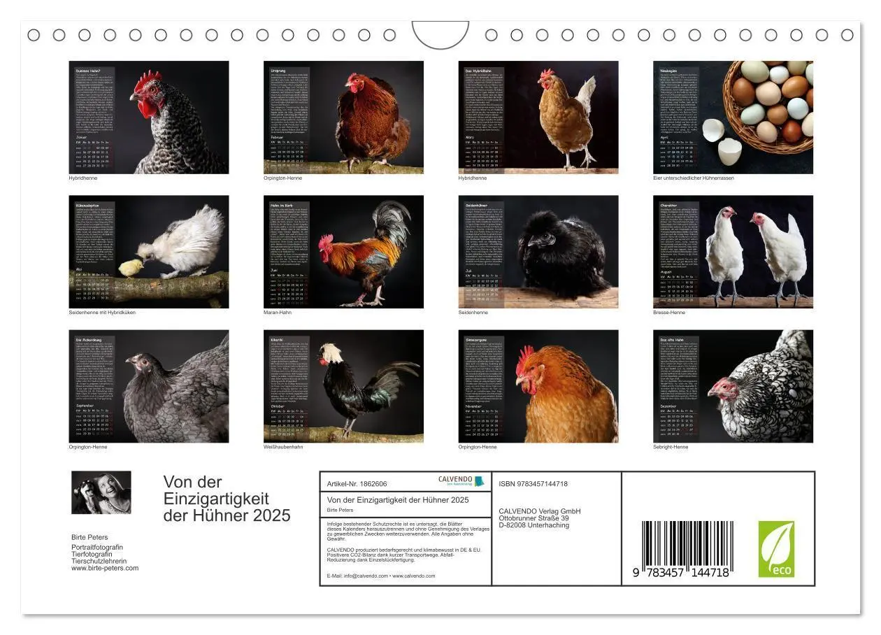 Bild: 9783457144718 | Von der Einzigartigkeit der Hühner 2025 (Wandkalender 2025 DIN A4...