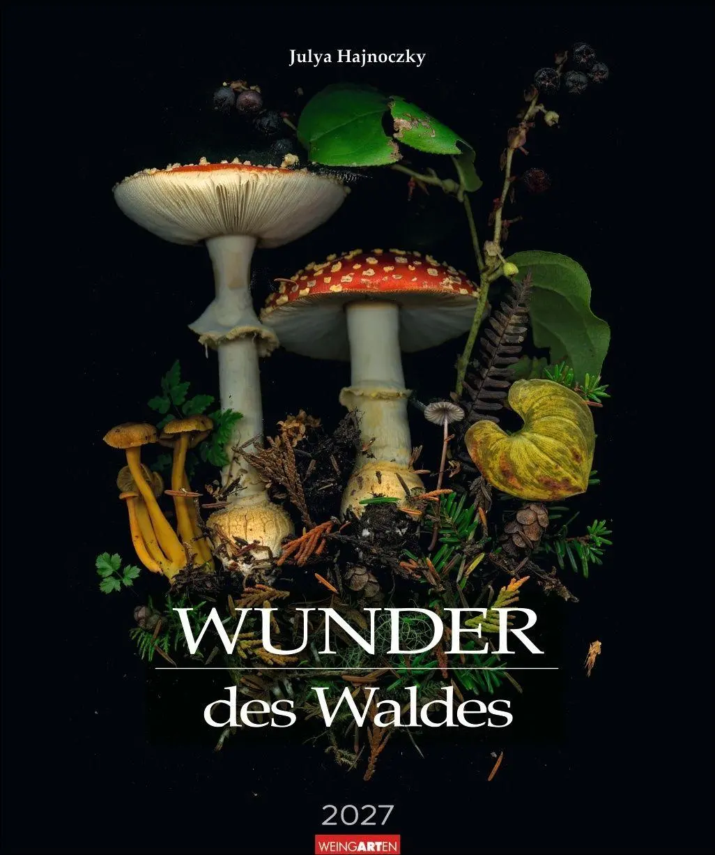 Cover: 9783839904718 | Wunder des Waldes 2027 | Julya Hagjnoczky | Kalender | 14 S. | Deutsch