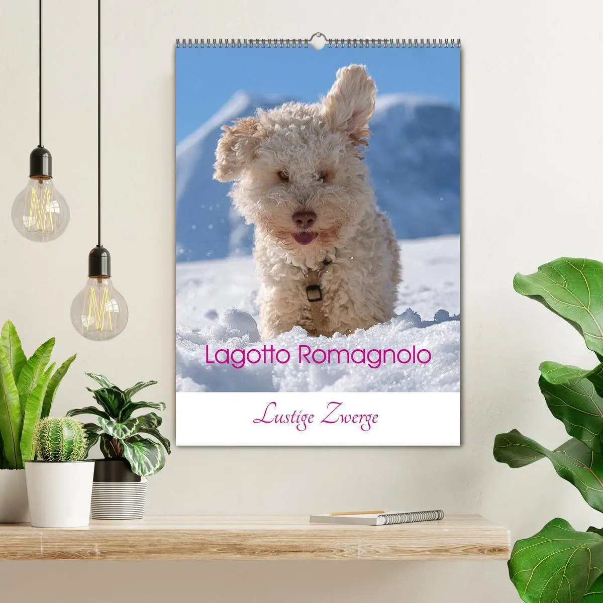 Bild: 9783516394818 | Lagotto Romagnolo - Lustige Zwerge (Wandkalender 2026 DIN A2 hoch),...