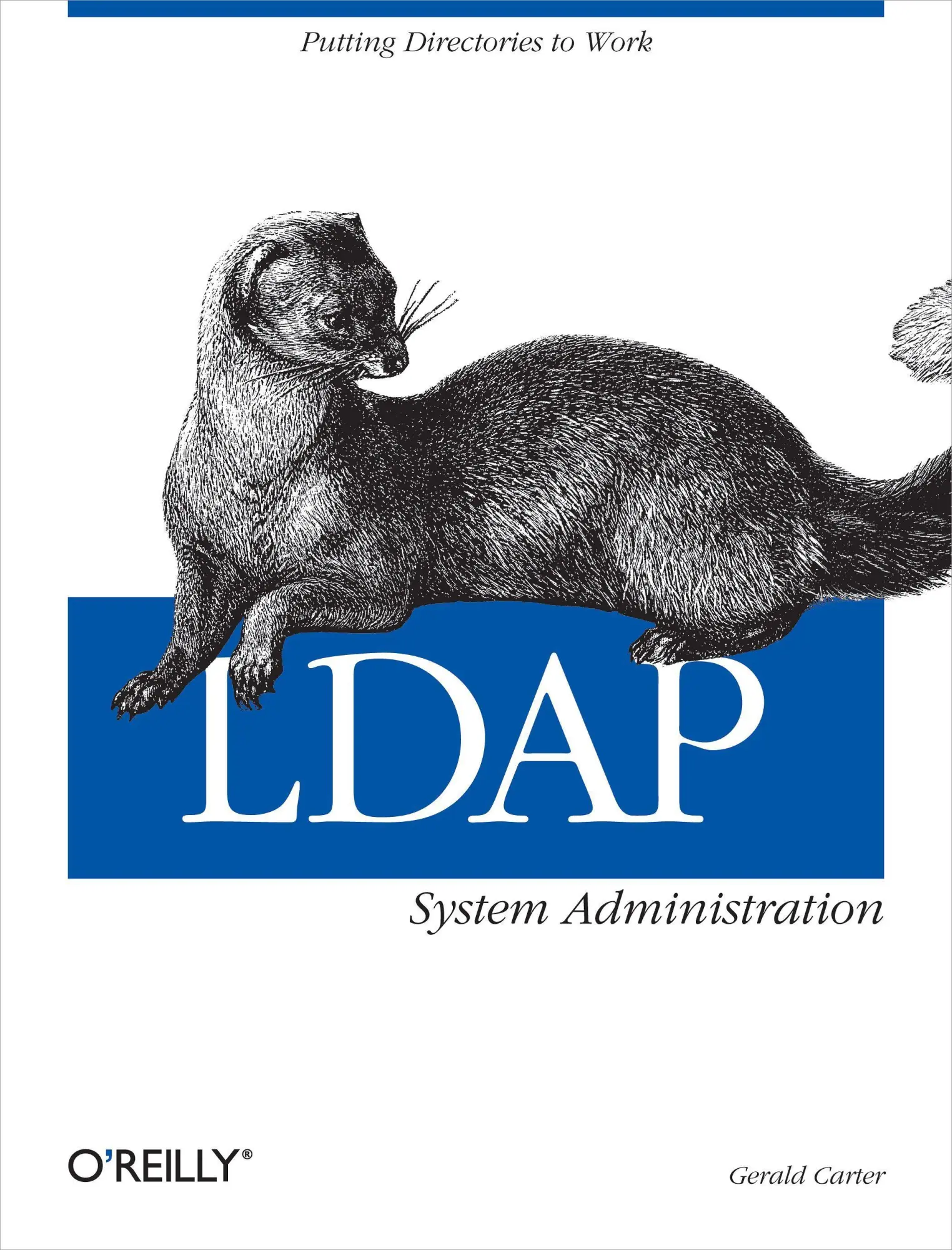 Cover: 9781565924918 | LDAP System Administration | Gerald Carter | Taschenbuch | XII | 2003