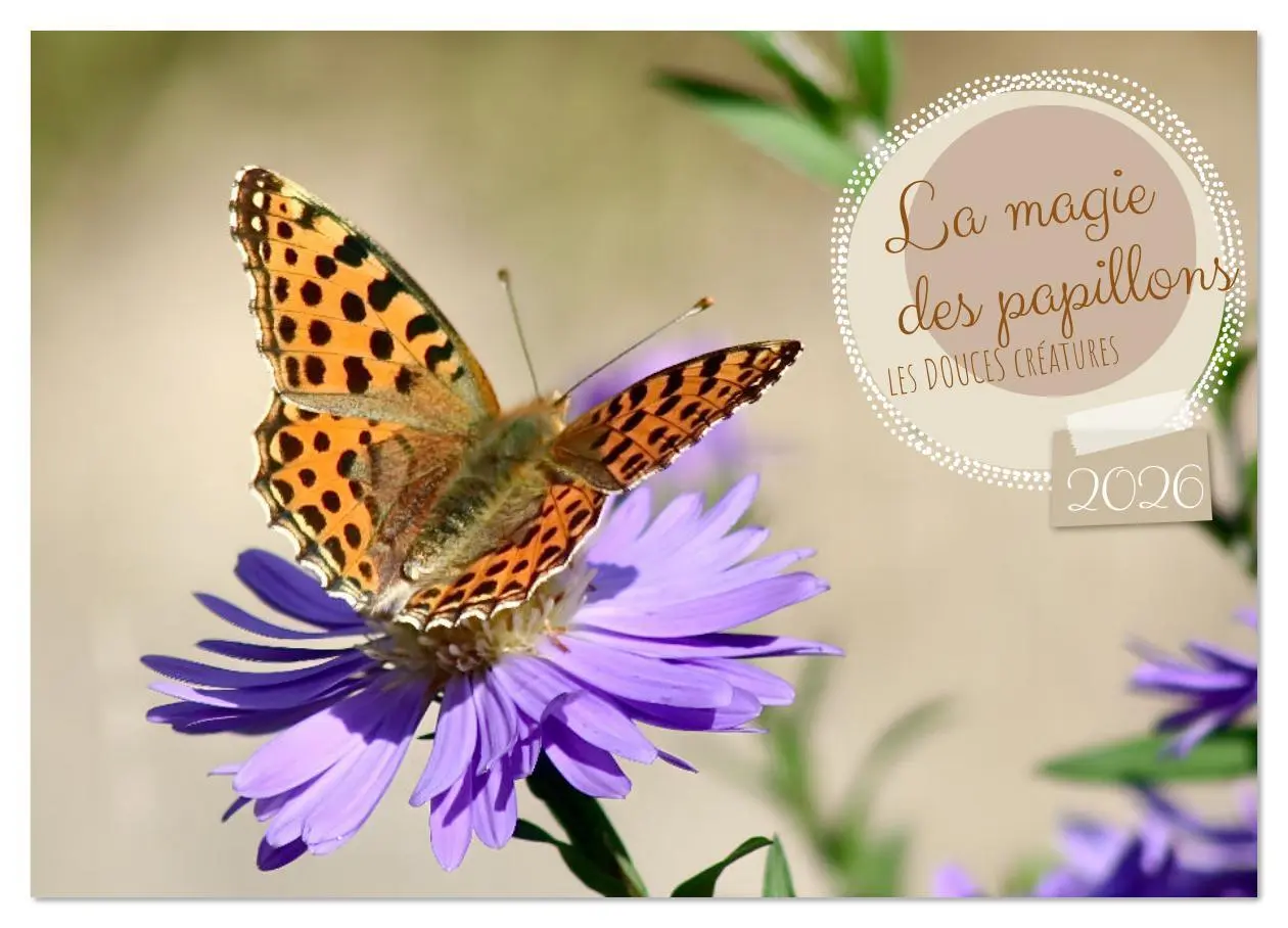 Cover: 9783516524918 | LA MAGIE DES PAPILLONS (Calendrier mural 2026 DIN A3 vertical),...