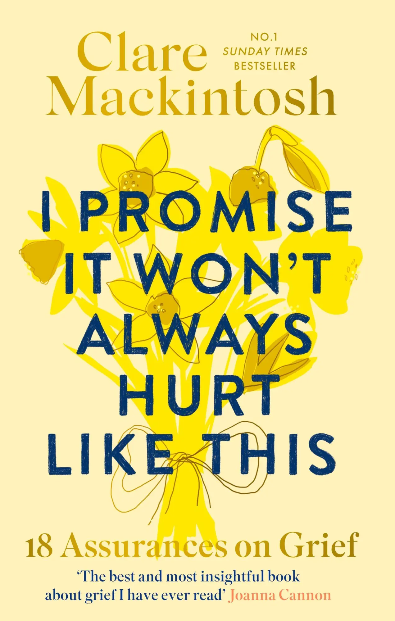 Cover: 9780751585018 | I Promise It Won't Always Hurt Like This | 18 Assurances on Grief