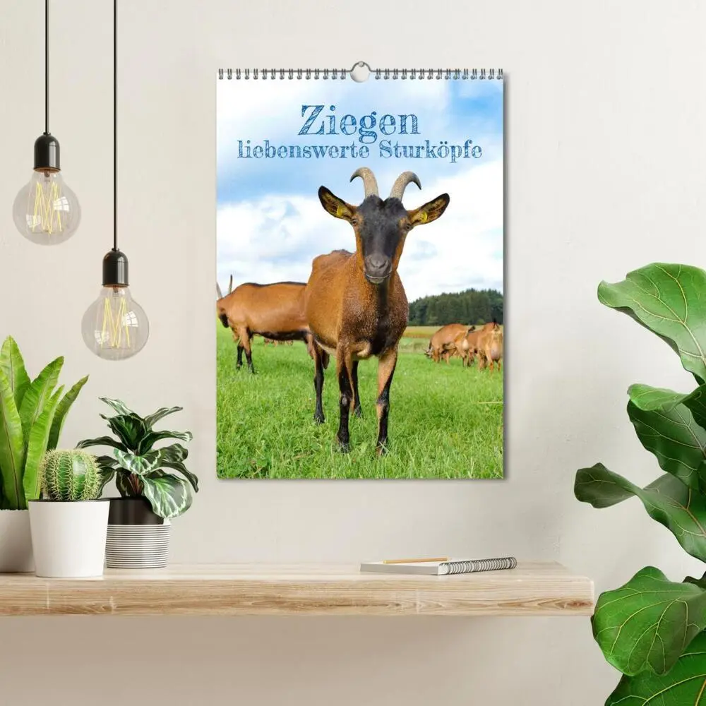 Bild: 9783435925018 | Ziegen - liebenswerte Sturköpfe (Wandkalender 2025 DIN A3 hoch),...