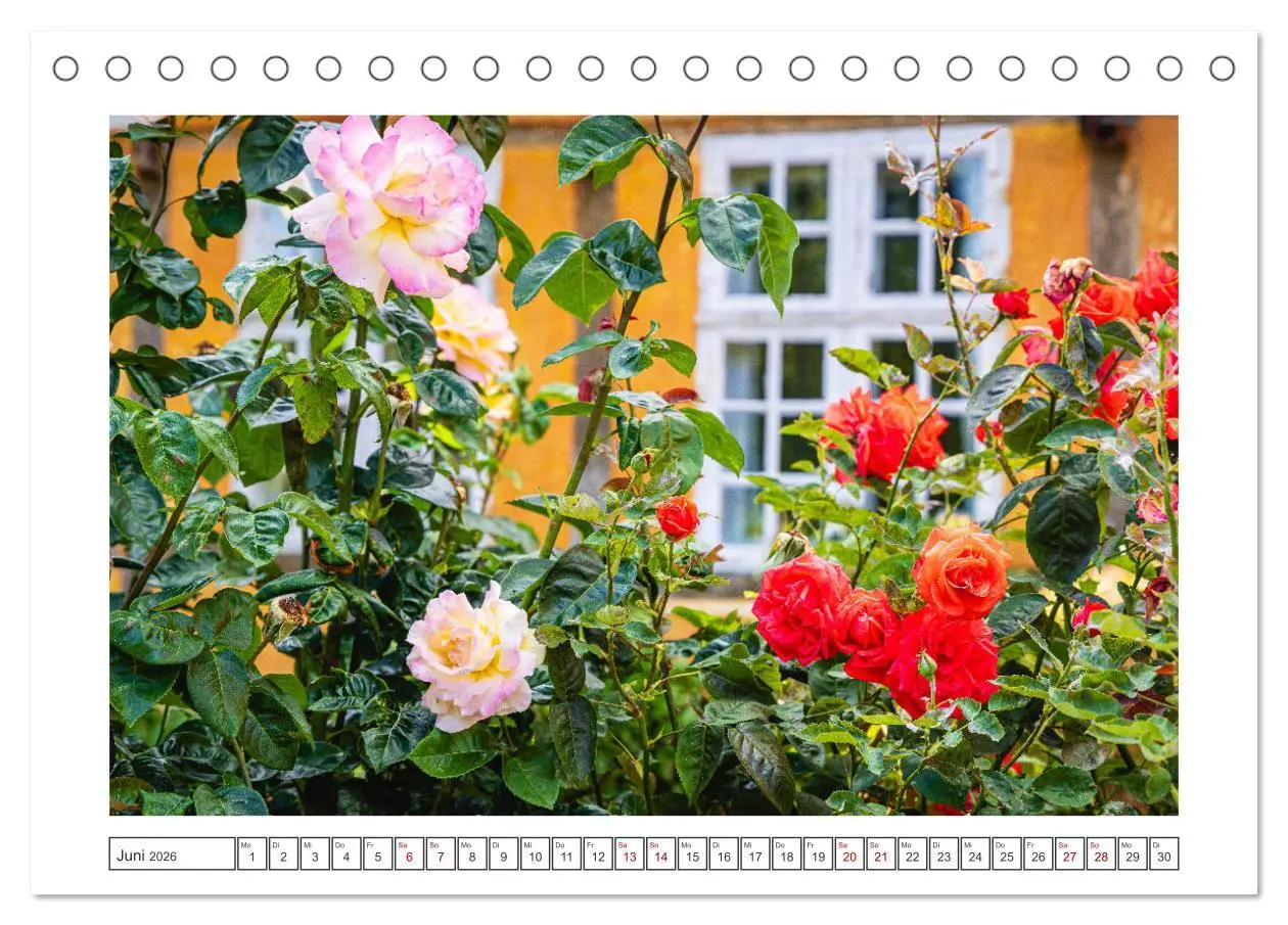 Bild: 9783457495018 | Lolland - Harmonie von Mensch und Natur (Tischkalender 2026 DIN A5...
