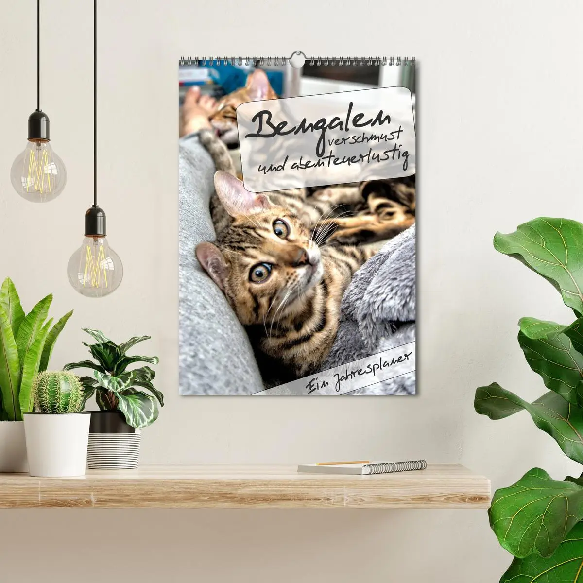 Bild: 9783516415018 | Bengalen - verschmust und abenteuerlustig (Wandkalender 2026 DIN A3...
