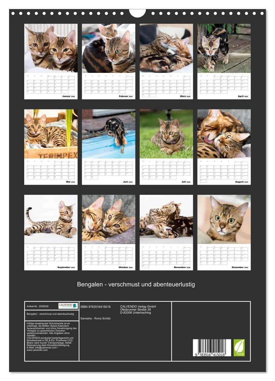 Bild: 9783516415018 | Bengalen - verschmust und abenteuerlustig (Wandkalender 2026 DIN A3...