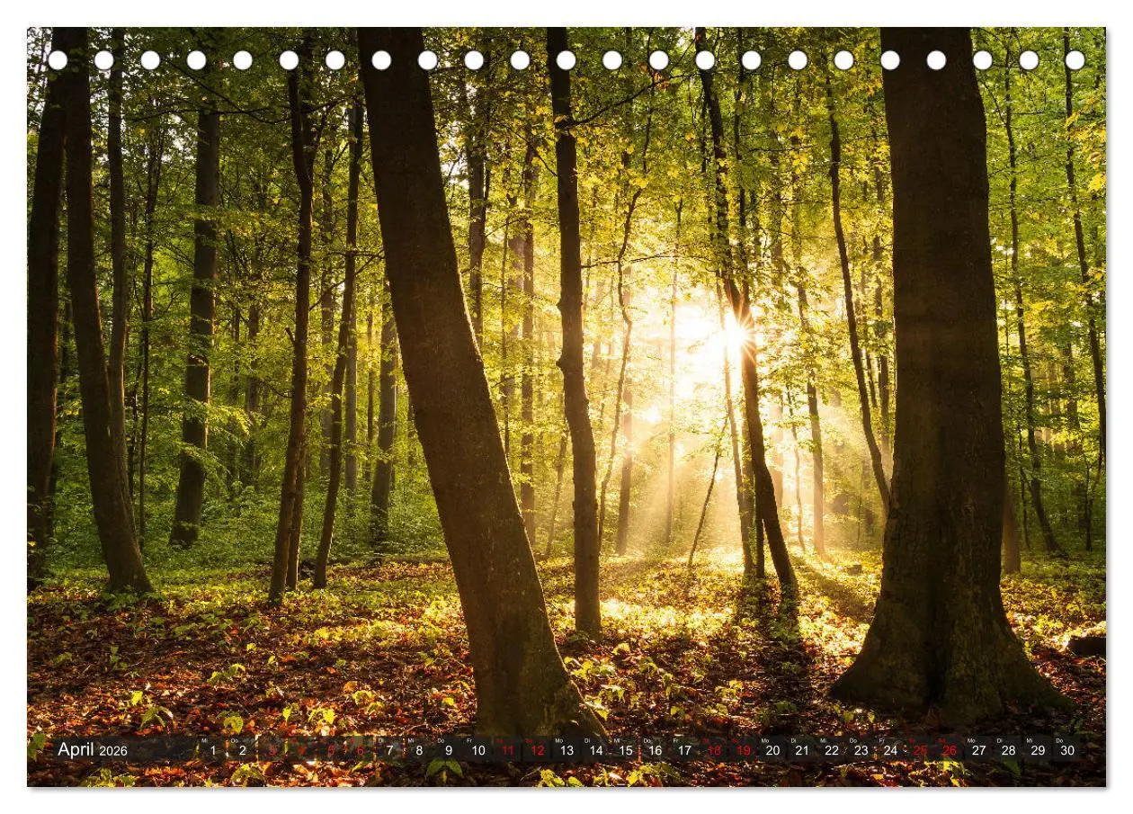 Bild: 9783457555118 | Augsburg - Stadt und Land (Tischkalender 2026 DIN A5 quer),...