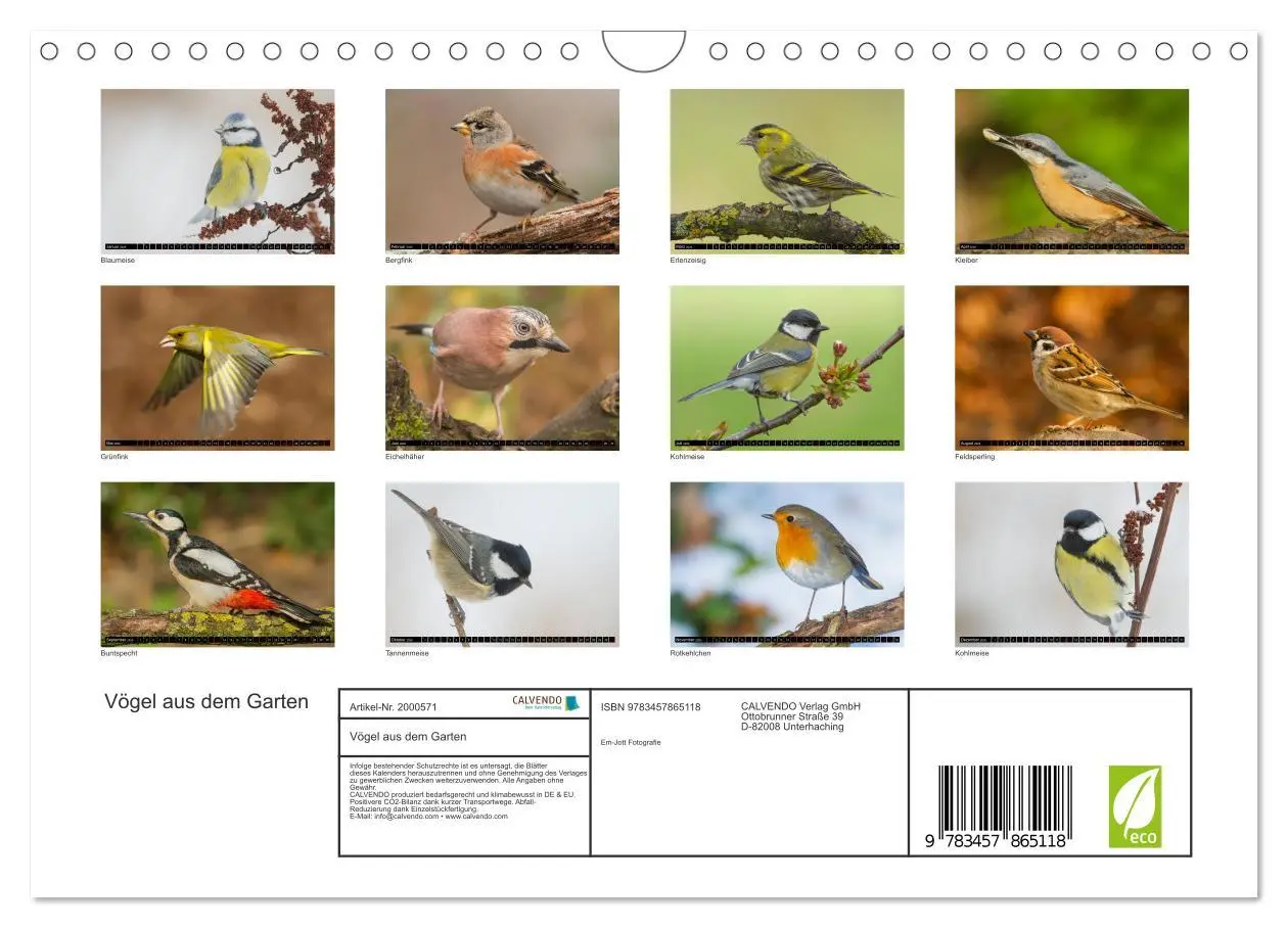 Bild: 9783457865118 | Vögel aus dem Garten (Wandkalender 2026 DIN A4 quer), CALVENDO...