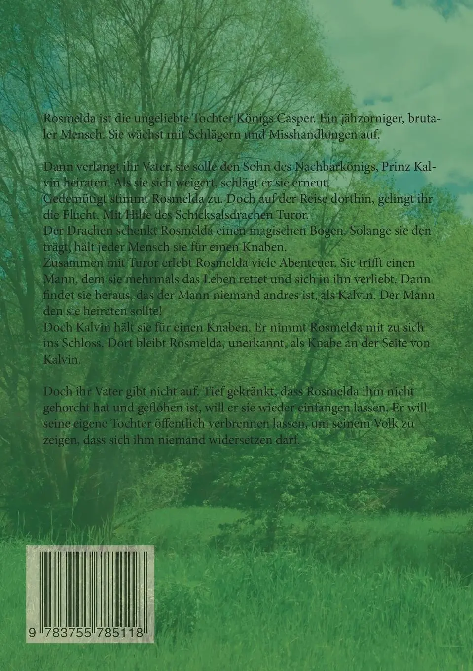 Rückseite: 9783755785118 | Rosmelda Mein Freund der Drachen | Christine Stutz | Taschenbuch