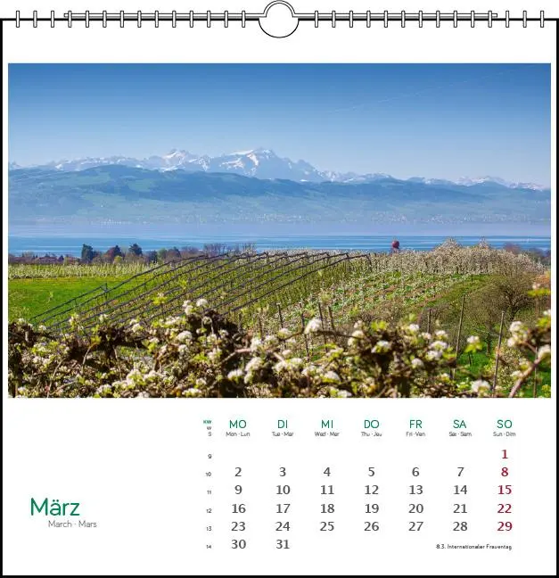 Bild: 9783861925118 | Östlicher Bodensee 2026 | Postkarten-Tischkalender | Fotografen | 2026
